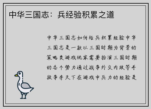 中华三国志:兵经验积累之道